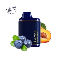 Saltica Leather 6000 Peach Blueberry Disposable
